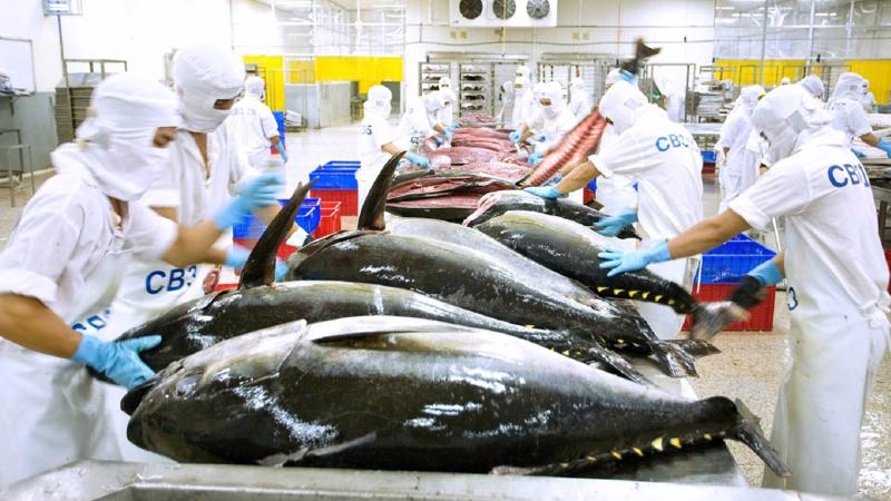 Tuna exports hit record high of US$1 billion this year